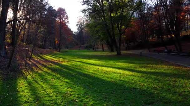 Groene Gazon Het Najaarspark — Stockvideo