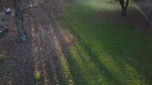 Grüner Rasen Herbstpark — Stockvideo