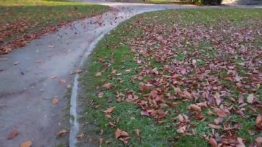 Sonbahar yaprakları parka düştü..