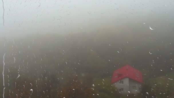 Niebla Sobre Los Árboles Lluvia Vista Desde Ventana Gotas Lluvia — Vídeo de stock