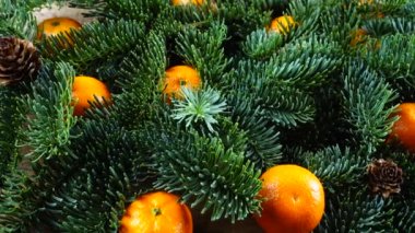 Abies nobilis şubesi eski bir ahşap şarap ve mandalinanın üzerinde..