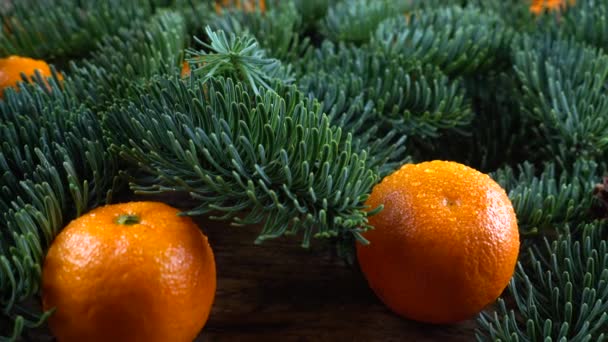 Abies Nobilis Şubesi Eski Bir Ahşap Şarap Mandalinanın Üzerinde — Stok video