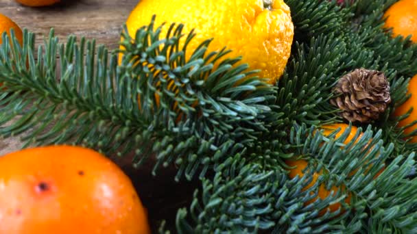 Abies Nobilis Branch Mandarins Lemons Persimmons Oranges Pomegranate Old Wooden — Stock Video