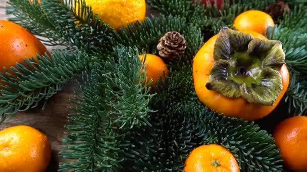 Abies Nobilis Cabang Dengan Mandarin Lemon Persimmon Jeruk Papan Antik — Stok Video