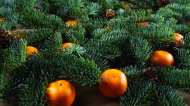 Abies nobilis şubesi eski bir ahşap şarap ve mandalinanın üzerinde..