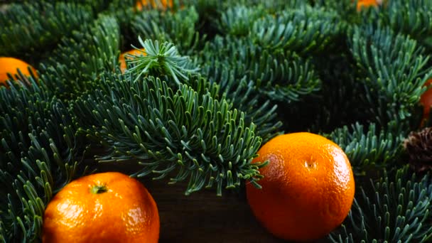 Ramo Abies Nobilis Está Uma Placa Vintage Madeira Velha Tangerinas — Vídeo de Stock