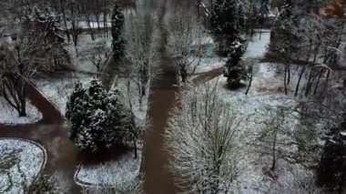 Kış parkında ağaçlar.