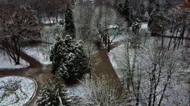 Kış parkında ağaçlar.