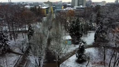 Kış parkında ağaçlar.