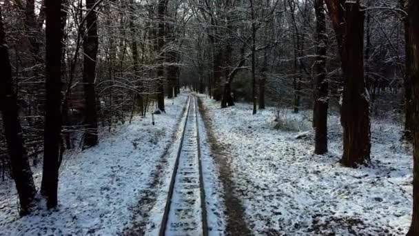 Ferrovia Bitola Estreita Estrada Ferroviária Rails Laço Ferroviário — Vídeo de Stock