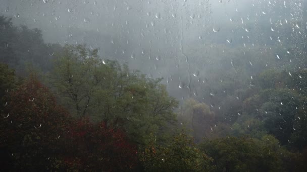 Regen Mist Boven Het Bos Zicht Vanuit Het Raam Regendruppels — Stockvideo
