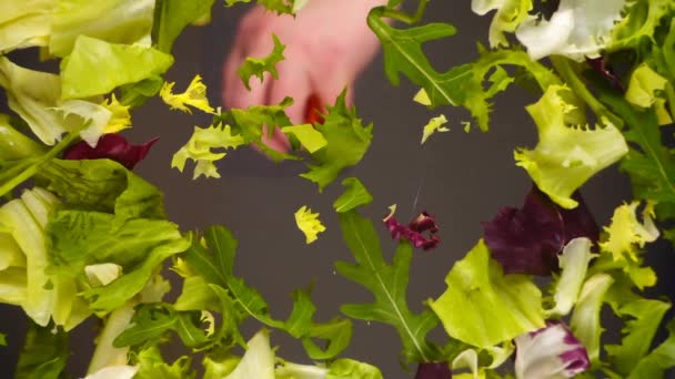 Salat Mit Tomaten Und Kräutern Kochen Tomatenscheiben Fallen Eine Glasschüssel — Stockvideo
