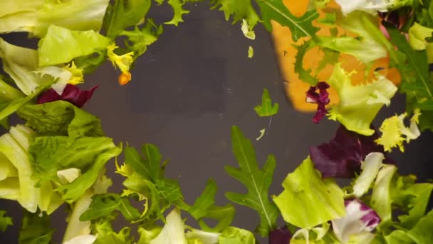 Cozinhar Salada Com Tomates Ervas Fatias Tomate Caem Uma Tigela — Vídeo de Stock