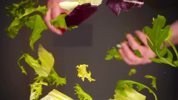 Cocinar Ensalada Con Tomates Hierbas Las Rodajas Tomate Ensalada Caen — Vídeos de Stock