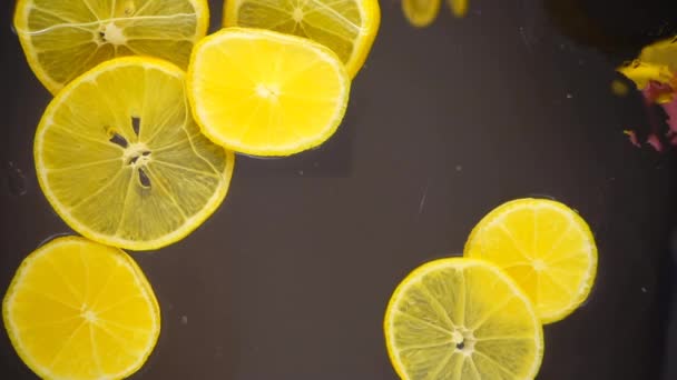 Partes Limões Caem Água Uma Superfície Transparente Vista Inferior Movimento — Vídeo de Stock
