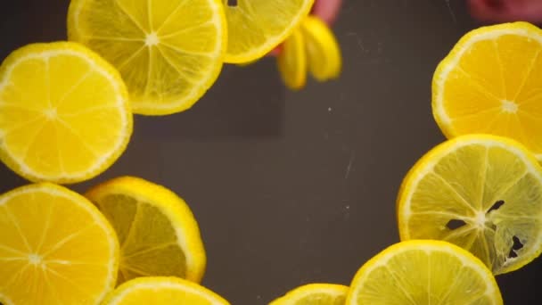 Partes Limões Caem Uma Superfície Transparente Vista Inferior — Vídeo de Stock