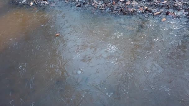 Agua Congelada Después Lluvia Bosque Invierno — Vídeo de stock