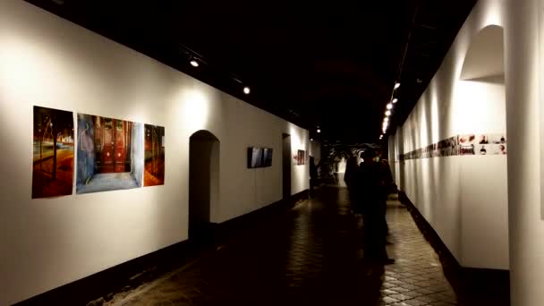Lviv Ukraine December 2020 Okänd Besökare Betraktar Konstutställningar Galleriet Dziga — Stockvideo
