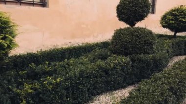 Eski bir binanın arka planında yeşil çalılar.