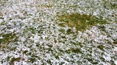 Kar çimenleri kapladı. Kışın çekim..