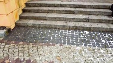 Zafer Tepesi. Lviv, Ukrayna. 1914-1915 yılları arasında Galiçya 'da ölen askerlerin anısına ve 1944 yılında Lviv' in kurtuluşuna katılan Sovyet askerlerinin anısına..