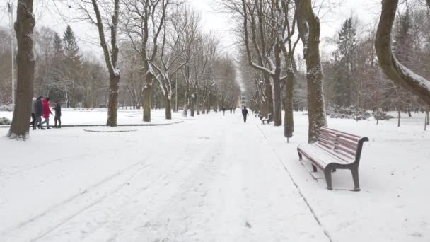 在城市冬季公园里散步的人 — 图库视频影像