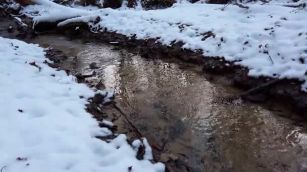 Karların Arasındaki Orman Deresi Kış Ormanı — Stok video