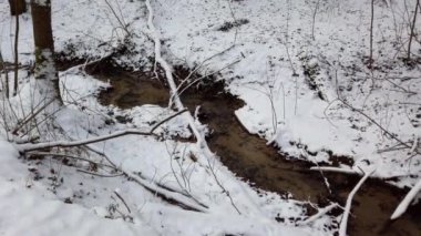 Kış ormanı Kar ve ağaçlar. Karların arasındaki orman deresi.
