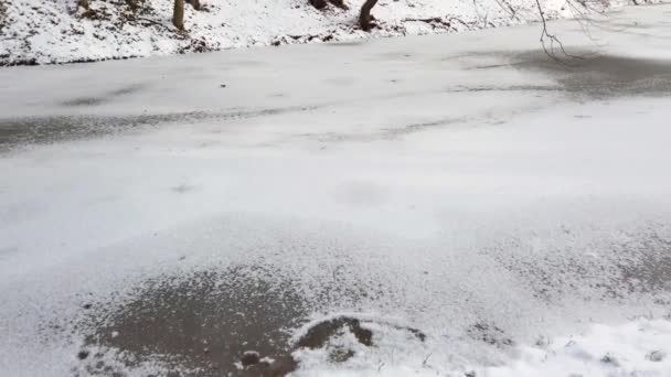 Lago Del Bosque Congelado Nieve Sobre Hielo — Vídeos de Stock