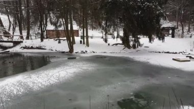 Vahşi ördekler dondurucu bir gölette yüzerler..