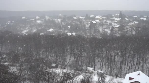 Fallande Snöflingor Mot Bakgrund Hus Och Skog Långsamma Rörelser — Stockvideo