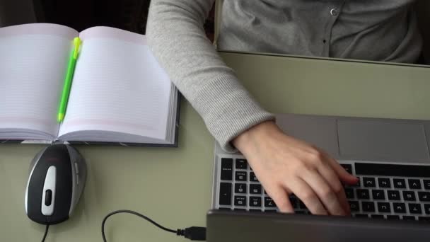 Girl Working Home Office Hands Keyboard — Stock Video