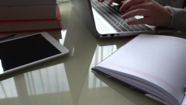 Girl Working Home Office Hands Keyboard — Stock Video