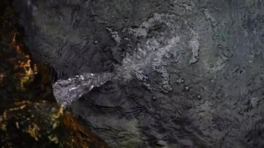 Kaynağından düşen bir su akıntısı. Yavaş çekim.