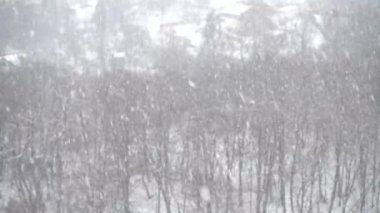 Kışın ağaçların arkasına düşen kar taneleri..