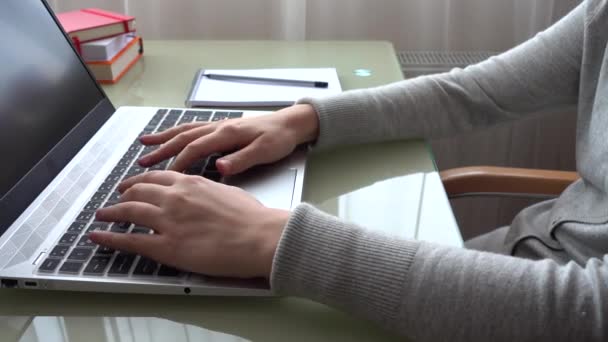 Girl Working Home Office Hands Keyboard — Stock Video