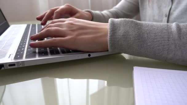 Девушка Работает Домашнем Офисе Руки Клавиатуре — стоковое видео