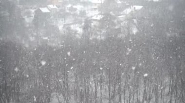 Kışın ağaçların arkasına düşen kar taneleri. Yavaş çekim.