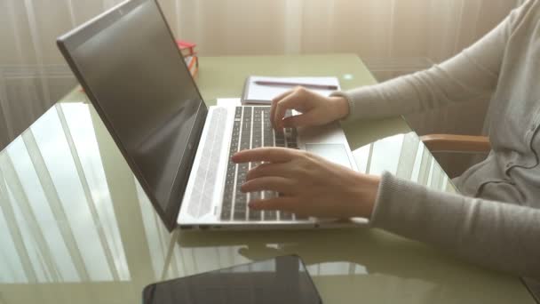 Gadis Yang Bekerja Kantor Rumah Tangan Pada Keyboard — Stok Video