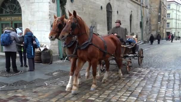 Lviv Ukraine Şubat 2021 Tarihsel Film Kakule Ile Kahve Nin — Stok video