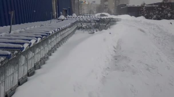 Σούπερ Μάρκετ Καλάθι Αγορών Στο Χιόνι Πυροβολισμοί Χιονοθύελλα — Αρχείο Βίντεο