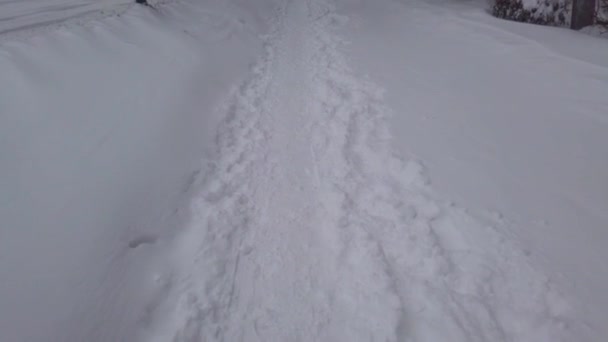 镇上的一场暴风雪 冬季枪战 — 图库视频影像