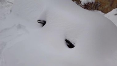 Kar fırtınasından sonraki araba. Kışın çekim..