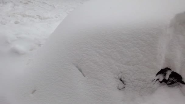 Carro Depois Uma Tempestade Neve Tiro Inverno — Vídeo de Stock