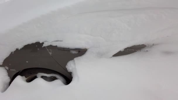 Carro Depois Uma Tempestade Neve Tiro Inverno — Vídeo de Stock