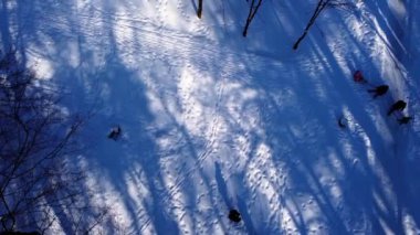 Kış parkında uçan bir İHA 'nın hava görüntüsü.