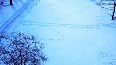 Kış parkında uçan bir İHA 'nın hava görüntüsü.