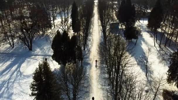 Luchtfoto Van Een Drone Die Het Winterpark Vliegt — Stockvideo
