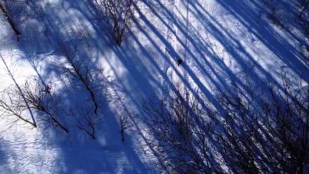 Αεροφωτογραφία Επανδρωμένου Αεροσκάφους Που Πετάει Πάνω Από Χειμερινό Πάρκο — Αρχείο Βίντεο