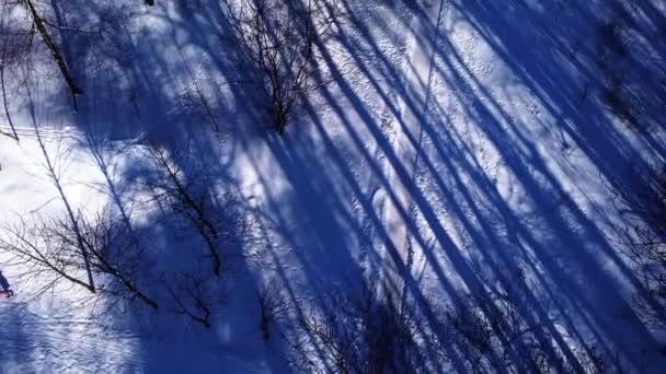 冬の公園上空を飛行するドローンの空中ビュー — ストック動画